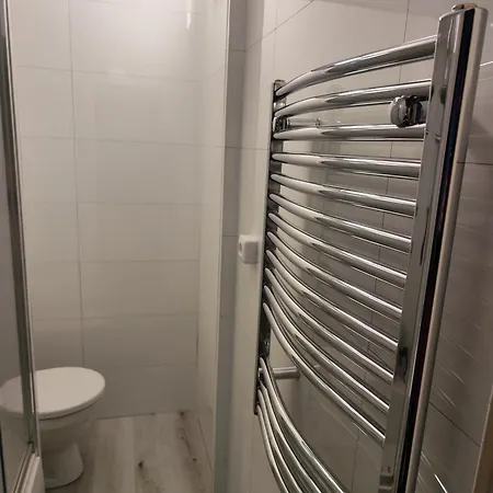 Apartman Rokytnicka Rokytnice v Orlickych Horach Exterior photo